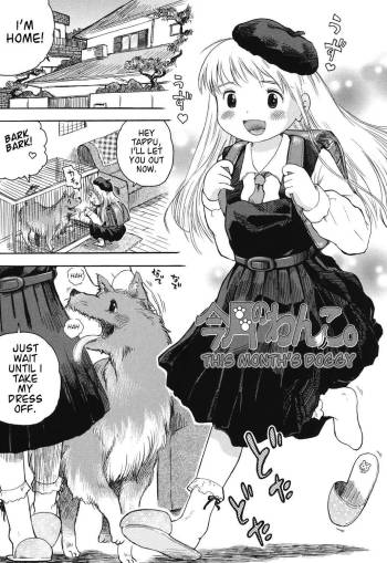 Kongetsu no Wanko. | This Month's Doggy cover