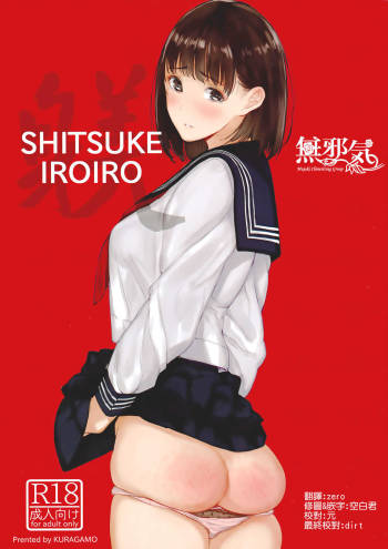 SHITSUKE IROIRO cover