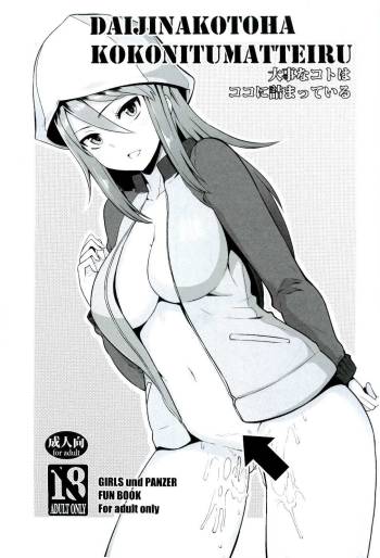 Daiji na koto wa koko ni Tsumatte Iru cover