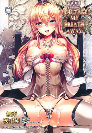 YOU TAKE MY BREATH AWAY cover