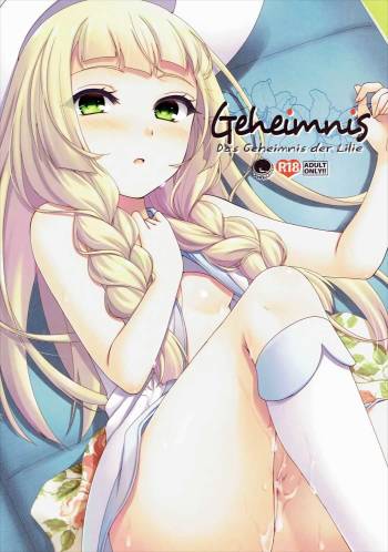 Geheimnis cover