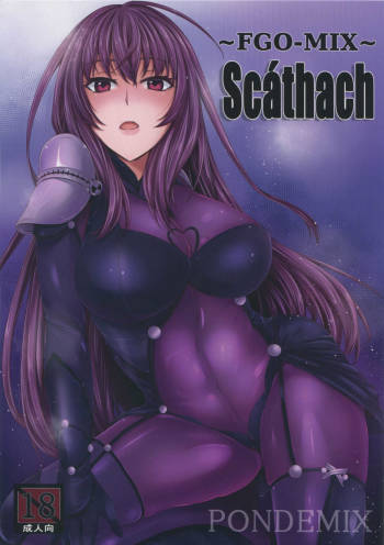~FGO-MIX~ Scáthach cover