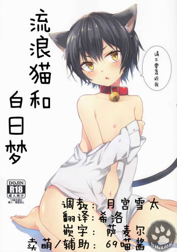 Nora Neko to Hakuchuumu | 流浪猫和白日梦 cover