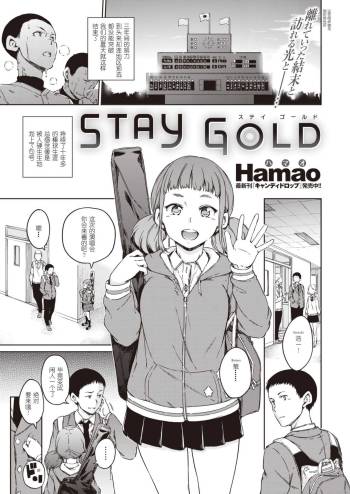 STAY GOLD cover
