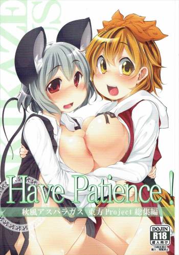 Have Patience! cover