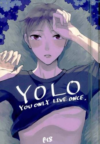 YOLO cover