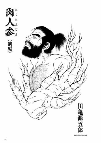 Niku Ninjin cover