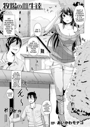 Bokujou no Meushi-tachi cover