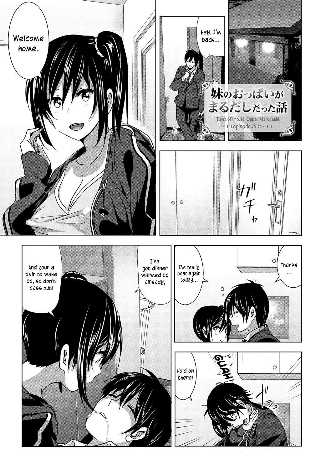 Imouto no Oppai ga Marudashi Datta Hanashi 3.5 page 1 full