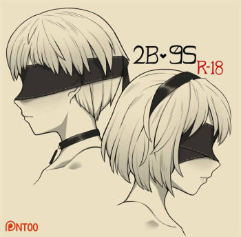 2B♥9S cover