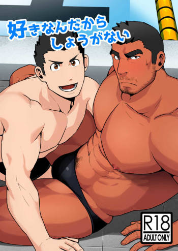 Suki nan dakara, Shou ga Nai cover
