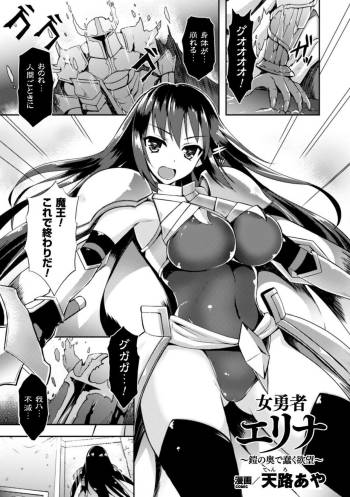 Heroine Erina ~Yoroi no Oku de Ugomeku Yokubou~ cover
