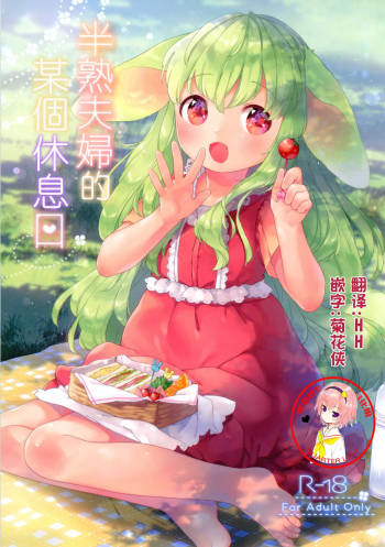 Hanjuku Fuufu no Toaru Kyuujitsu cover