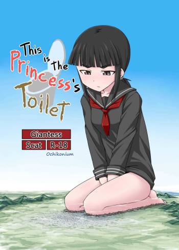 Koko wa Hime-sama no Toile desu cover