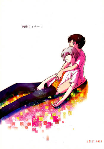 Junjou Finale cover