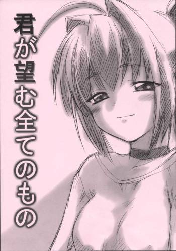 Kimi ga Nozomu Subete no Mono cover