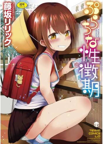 Platinum Seichouki cover