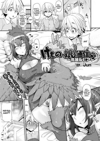 Kemonokko Tsuushin ~ Toriko Rupia | Animal Girl Hotline ~ Bird Girl Rupia cover