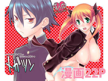 Megatsun cover