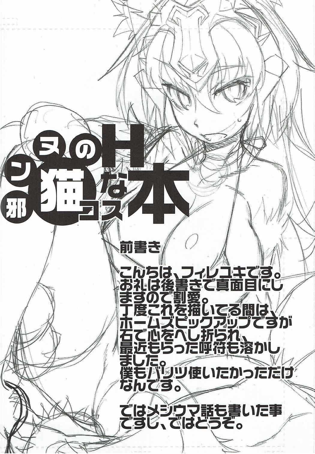邪ンヌのHな猫コス本 page 3 full
