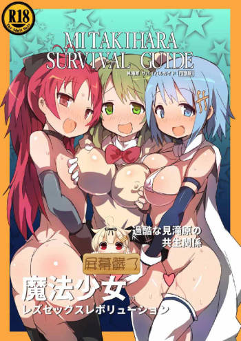 MITAKIHARA SURVIVAL GUIDE cover