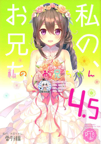 Watashi no, Onii-chan 4.5 Bangaihen cover