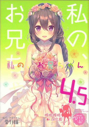 Watashi no, Onii-chan 4.5 Bangaihen cover