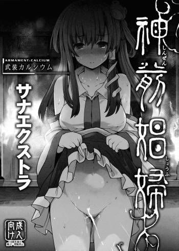 Shinzen Shoufu -Sanaextra- cover