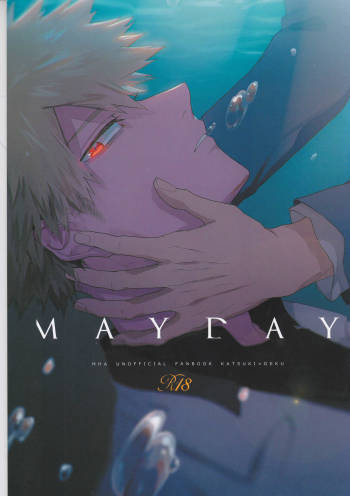MAYDAY cover