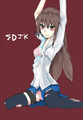 SDJK cover