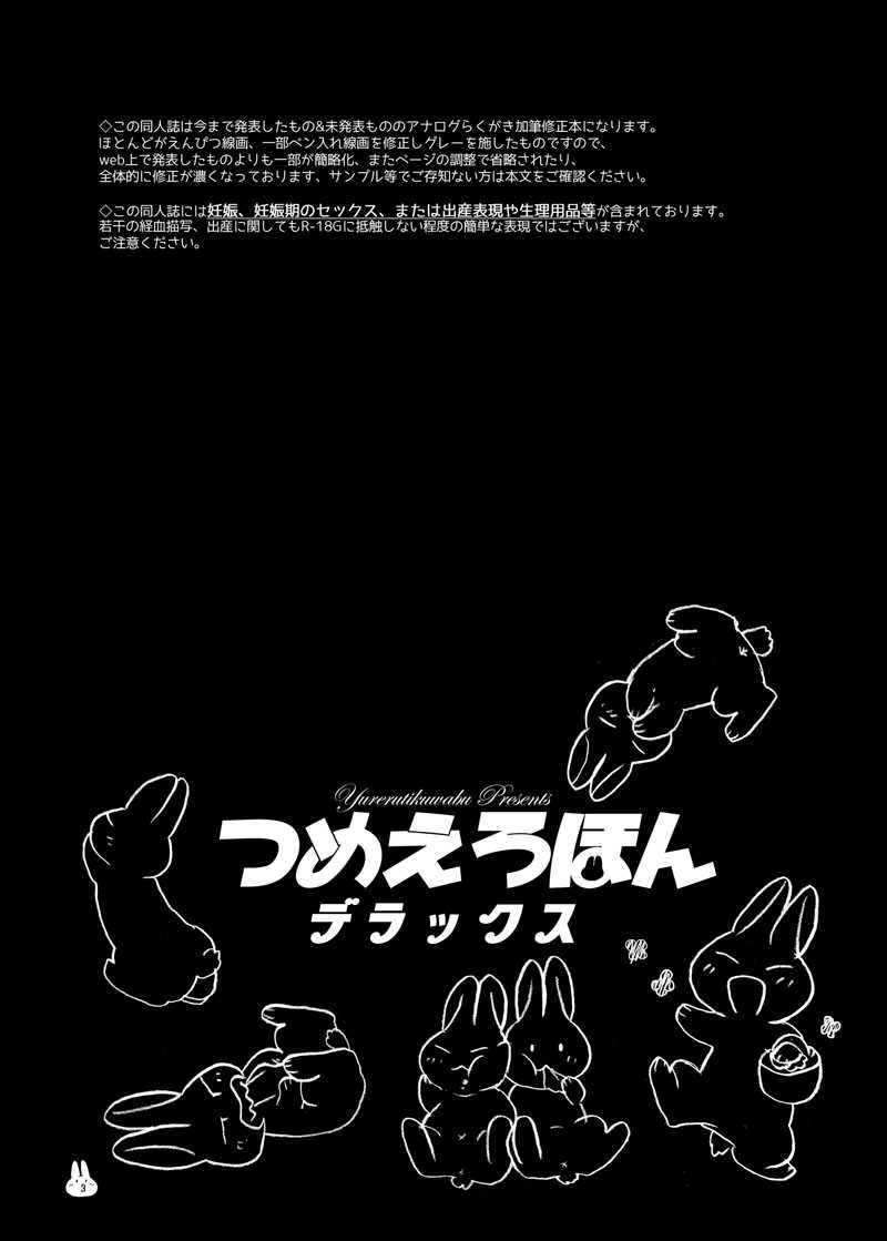 つめえろほんDX page 3 full