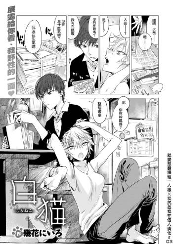 Shironeko cover