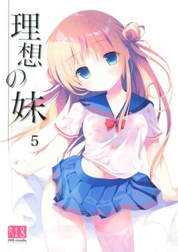 Risou no Imouto 5 cover