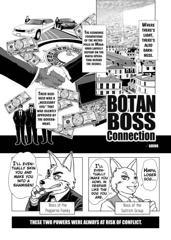 Botan Boss Connection cover