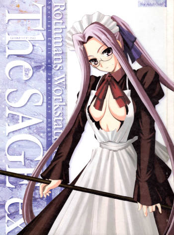 The SAGE ex Yoru Nuki Rider-san cover
