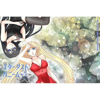 Stardust Honeymoon english biribiri incomplete cover