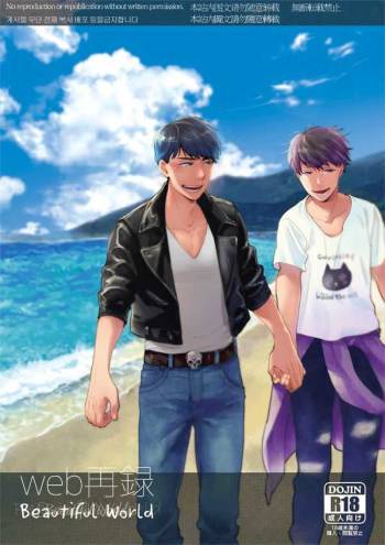 Beautiful World cover
