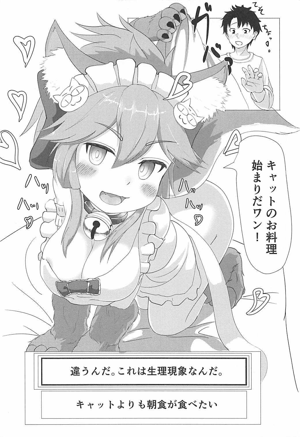 タマモキャットの猫まんま page 5 full