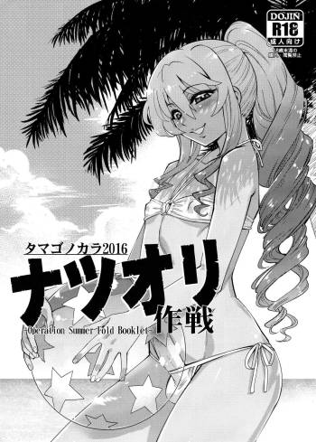 -Operation Summer Fold Booklet- cover