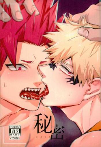 Himitsu SECRET cover