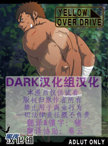 YELLOW OVER DRIVE cover