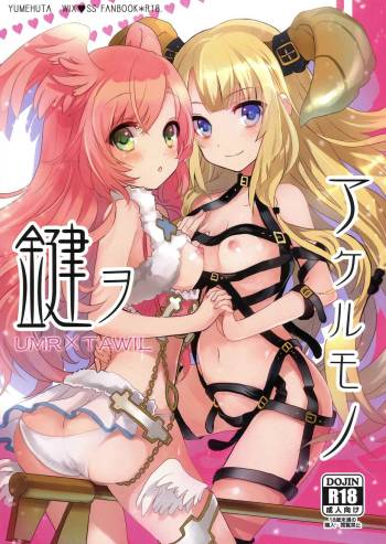 Kagi o Akeru Mono cover