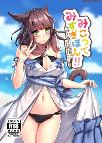 Miqo'te Mizugi Bon!! | The artbook of Miqo'te!! cover
