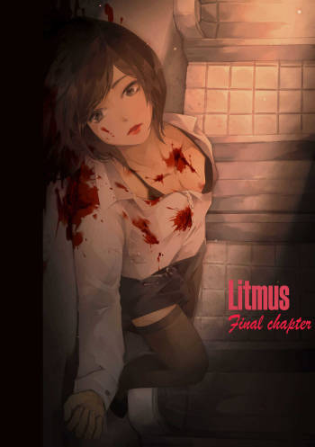 Litmus Final chapter_END_ cover