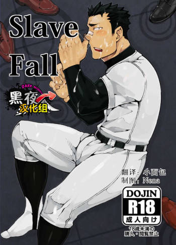 Slave Fall cover