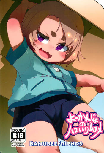 Youkanjo no Hakoiri Musume cover