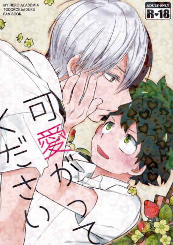 Kawaii gatte kudasai cover