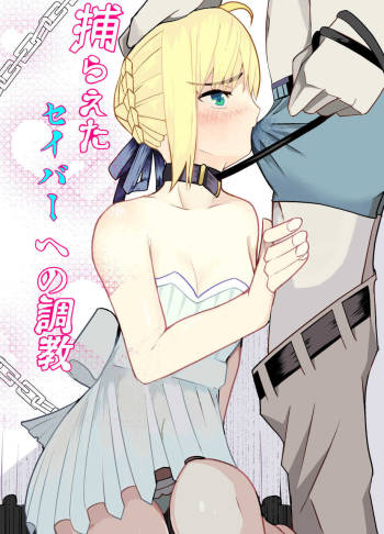 Training to Saber captured cover