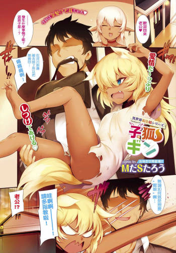 Kogitsune Gin cover