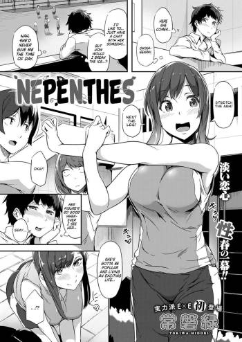 Nepenthes cover